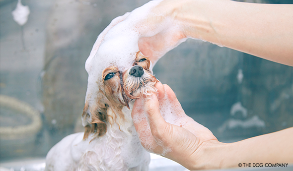 STEP04 シャンプー＆ドライ