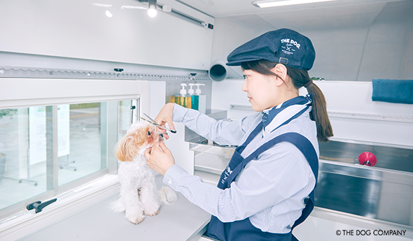 STEP04 カット（トリミング）